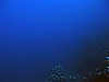 IMG_4579.JPG