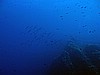 IMG_4581.JPG