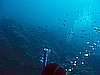 IMG_4582.JPG