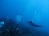 IMG_4584.JPG