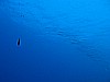 IMG_4585.JPG