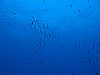 IMG_4587.JPG