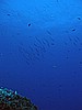 IMG_4589.JPG