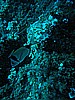 IMG_4593.JPG