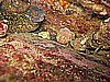 IMG_4596.JPG