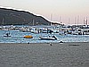 IMG_4645.JPG