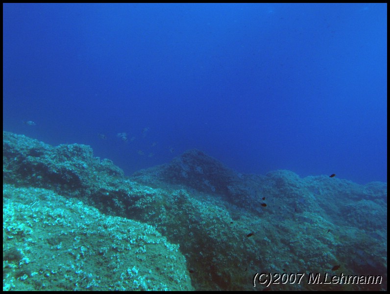 IMG_4706.JPG