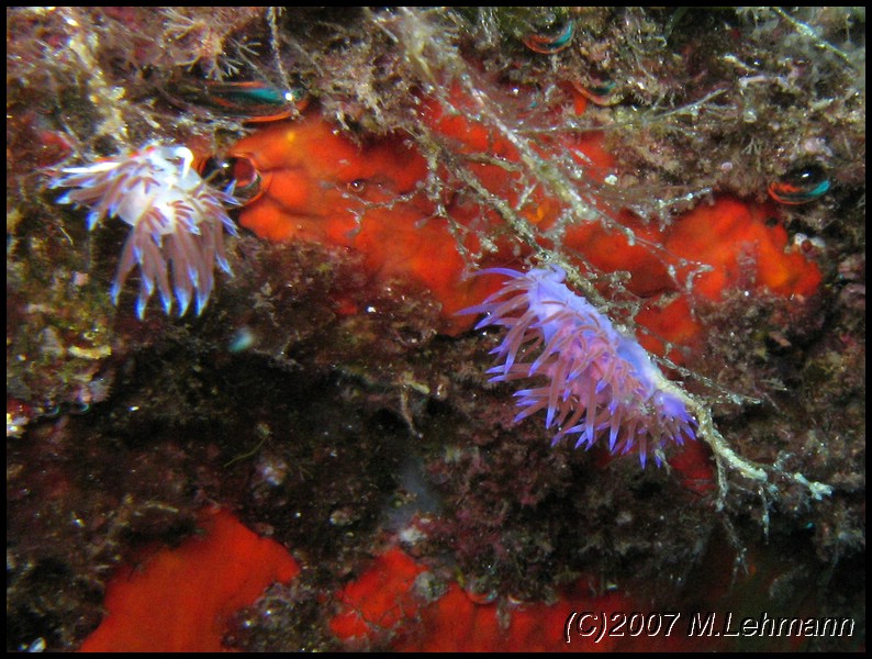 IMG_4716.JPG