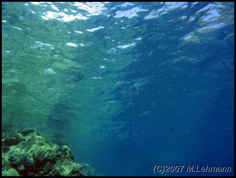 IMG_4732.JPG
