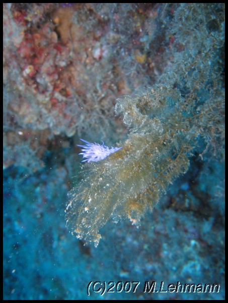 IMG_4753.JPG