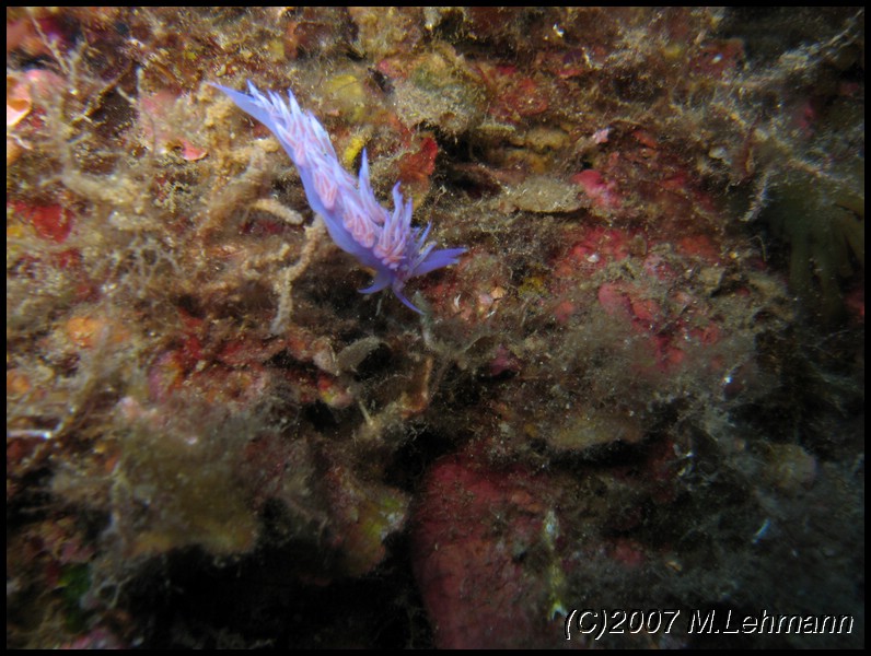 IMG_4761.JPG