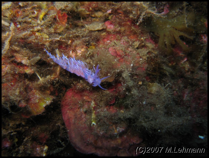 IMG_4766.JPG