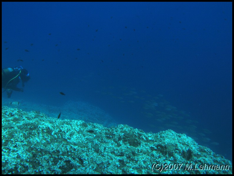 IMG_4796.JPG