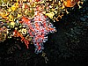 IMG_4677.JPG