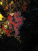 IMG_4682.JPG