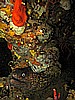 IMG_4684.JPG