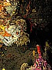 IMG_4685.JPG