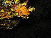 IMG_4692.JPG