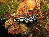 IMG_4694.JPG