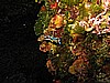 IMG_4696.JPG