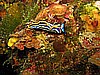 IMG_4700.JPG