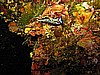 IMG_4701.JPG