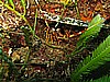 IMG_4702.JPG