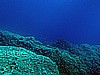 IMG_4707.JPG