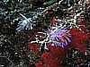 IMG_4711.JPG