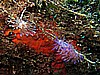 IMG_4713.JPG