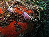 IMG_4714.JPG