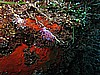 IMG_4715.JPG