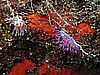 IMG_4716.JPG