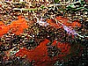 IMG_4720.JPG