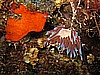 IMG_4724.JPG