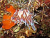 IMG_4725.JPG