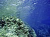 IMG_4731.JPG