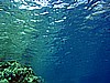 IMG_4732.JPG