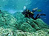 IMG_4733.JPG
