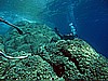 IMG_4734.JPG