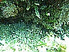 IMG_4735.JPG