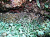 IMG_4736.JPG