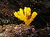 IMG_4739.JPG