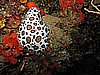 IMG_4742.JPG
