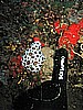 IMG_4744.JPG