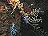 IMG_4746.JPG