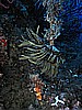IMG_4748.JPG