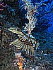 IMG_4749.JPG