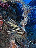 IMG_4750.JPG