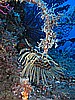 IMG_4752.JPG